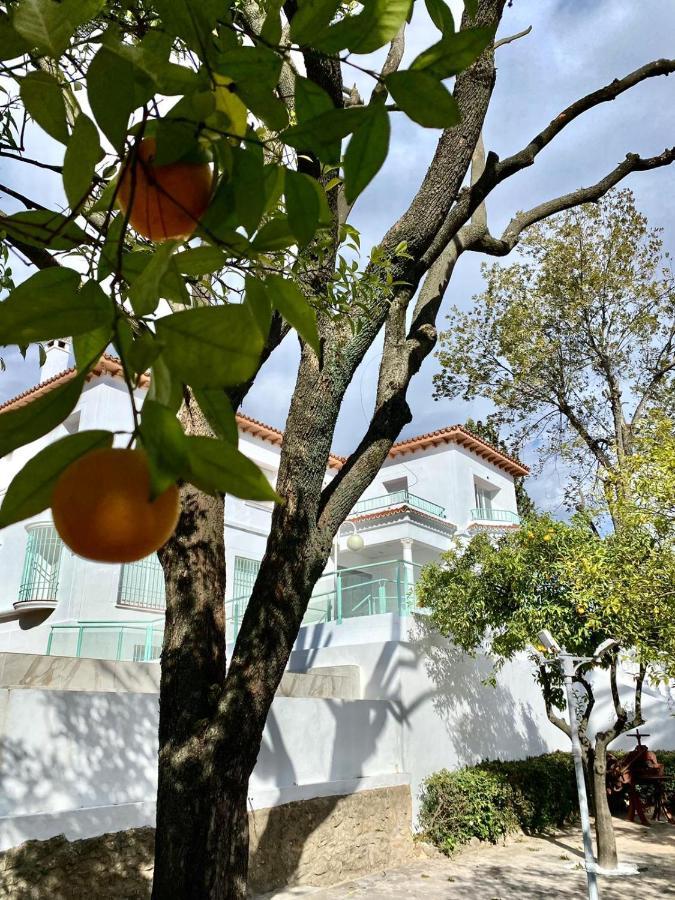 Almendros - Free Parking
